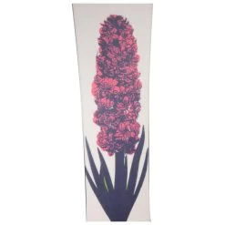 Planche Snowboard Oxbow Hyacinth -MontBlanc Wear Magasin 1a01dca6ca5dc409449325a9ec3c5899999d735f H23OXBOBOA261209 OXBO0044308 905