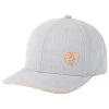 Casquettes Picture Kline Bb Cap Grey Melange