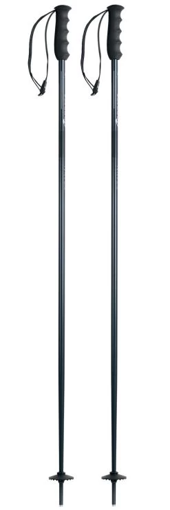 Bâton Nordica Alpine Ti