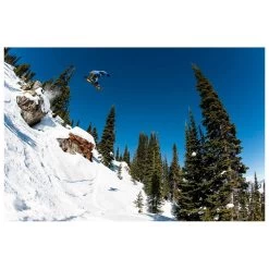 Planche Snowboard Lib Tech Golden Orca -MontBlanc Wear Magasin af303955bfc2f191bddbe1ef2c1c522ebce1b1ed H23LIBTBOA266439 901