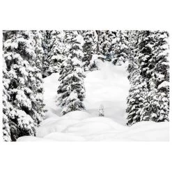 Planche Snowboard Lib Tech Golden Orca -MontBlanc Wear Magasin bafab7b47fb70eeb7978a6b162414bf9f4578c6a H23LIBTBOA266439 903